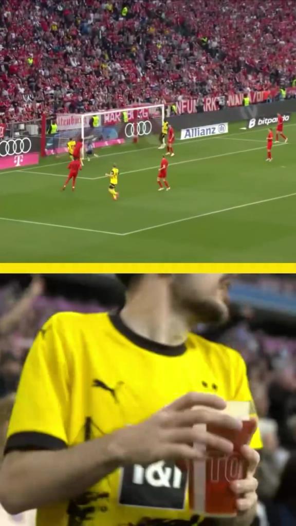 勇者無懼！這是真多特球迷！在拜仁球迷區(qū)一個人肆意慶祝！